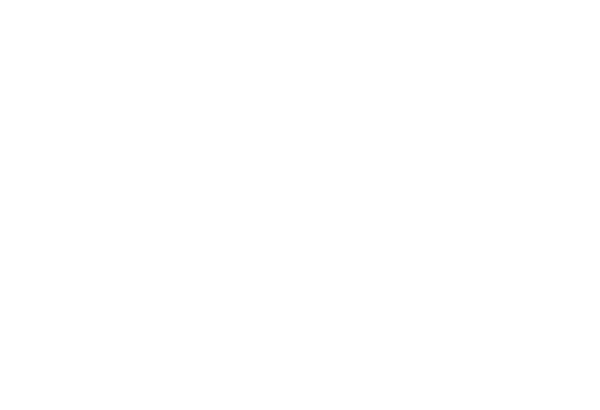 Zed Academy